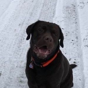 Meet your Posher, Robert